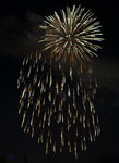 Fireworks 4790